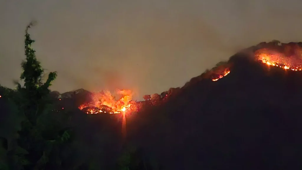 Van mil 179 hectáreas consumidas por incendios en Edomex